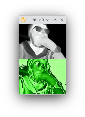 /dev/video0 raw radiometric data for NOYAFA NF-583